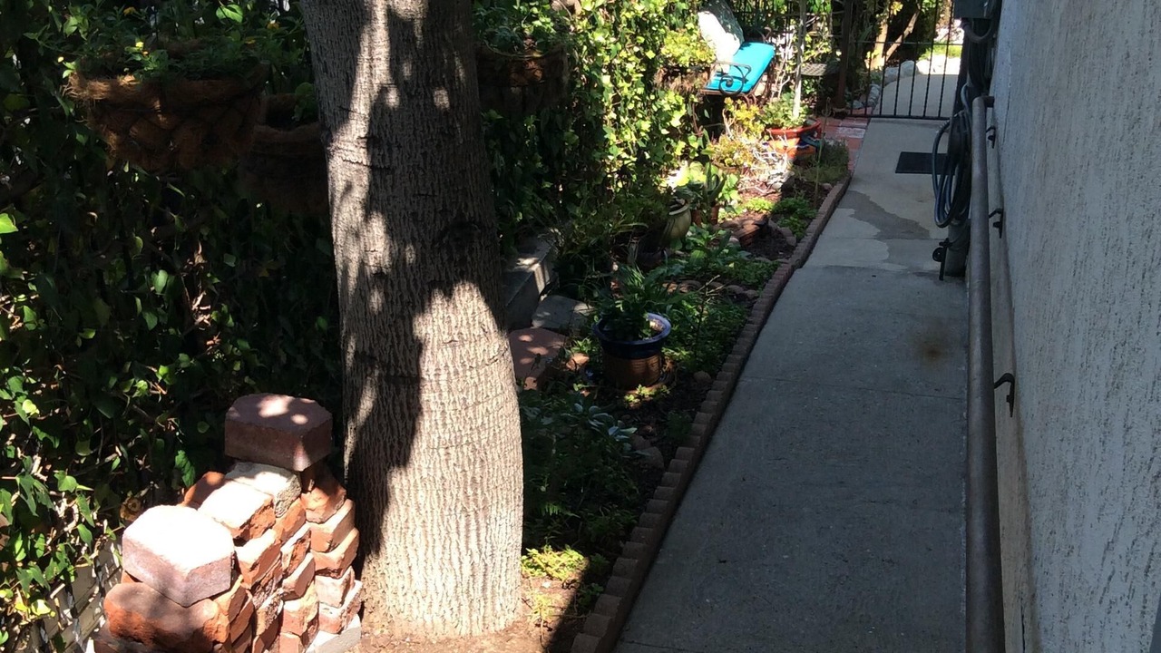 Photo of Outdoor in Eagle Rock