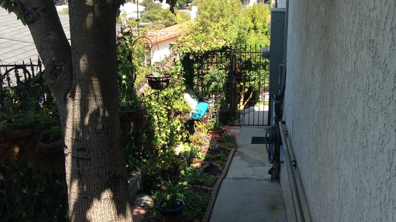 Photo of Outdoor in Eagle Rock