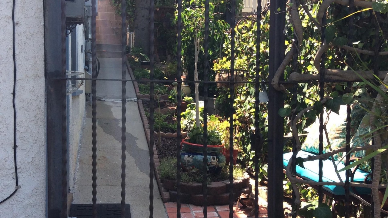 Photo of Outdoor in Eagle Rock