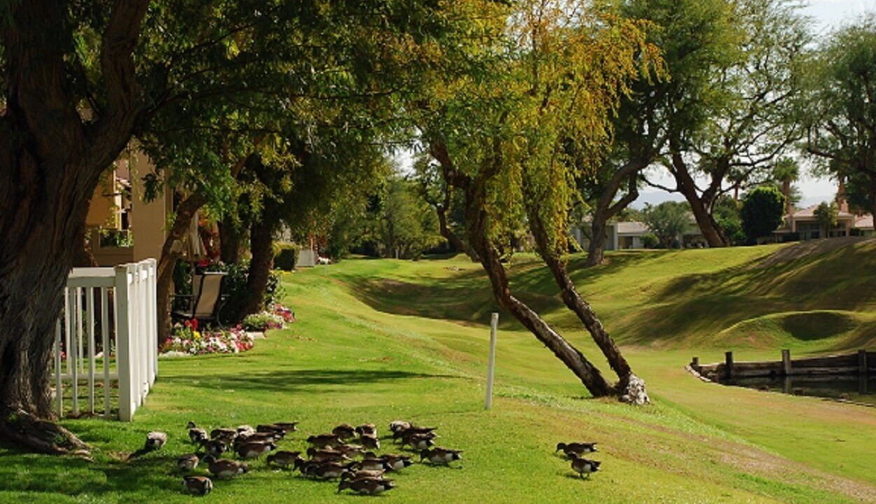 Photo of Outdoor in La Quinta