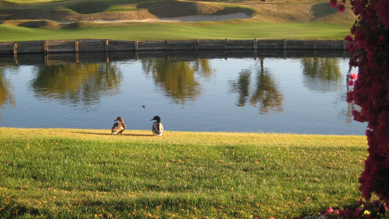 Photo of Outdoor in La Quinta