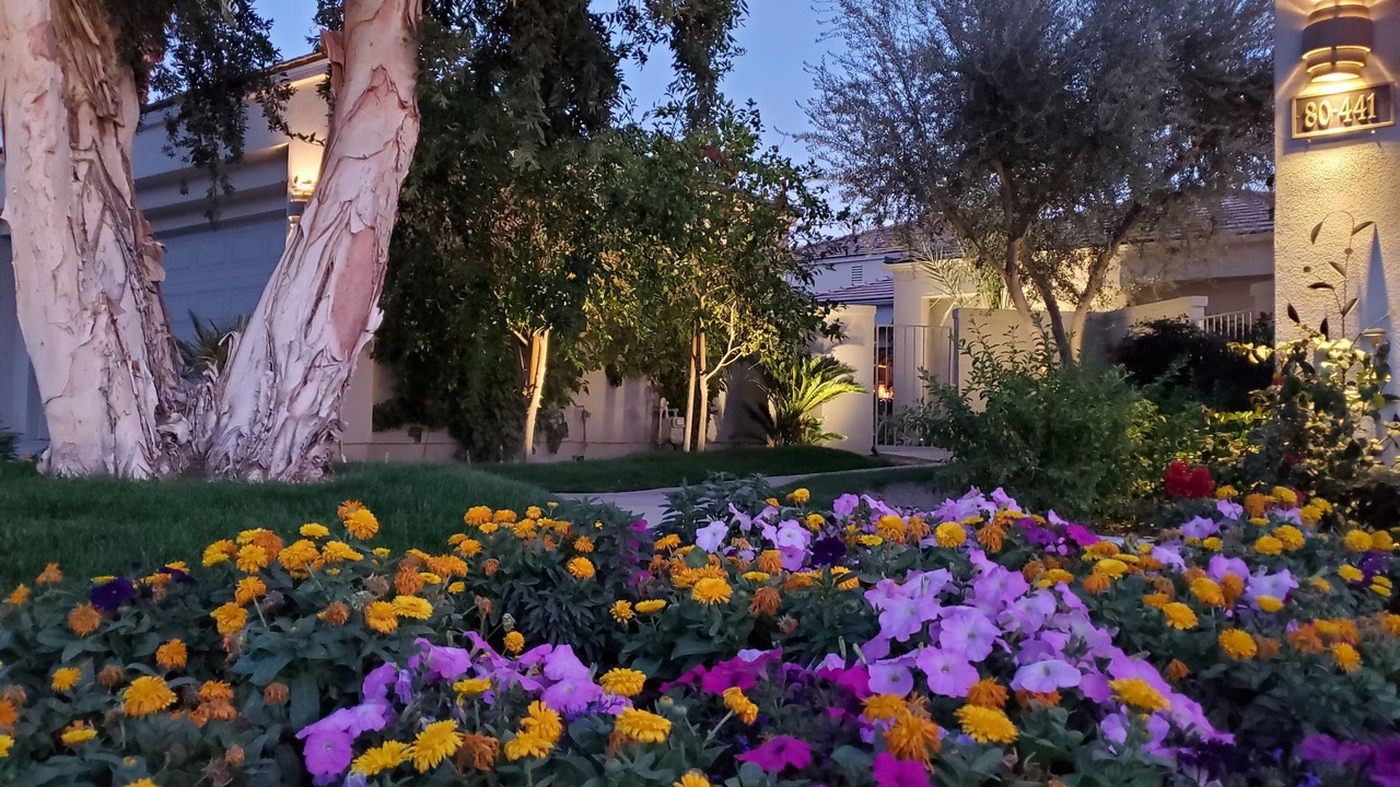 Photo of Others in La Quinta