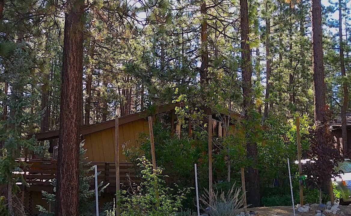Photo of Others in Big Bear