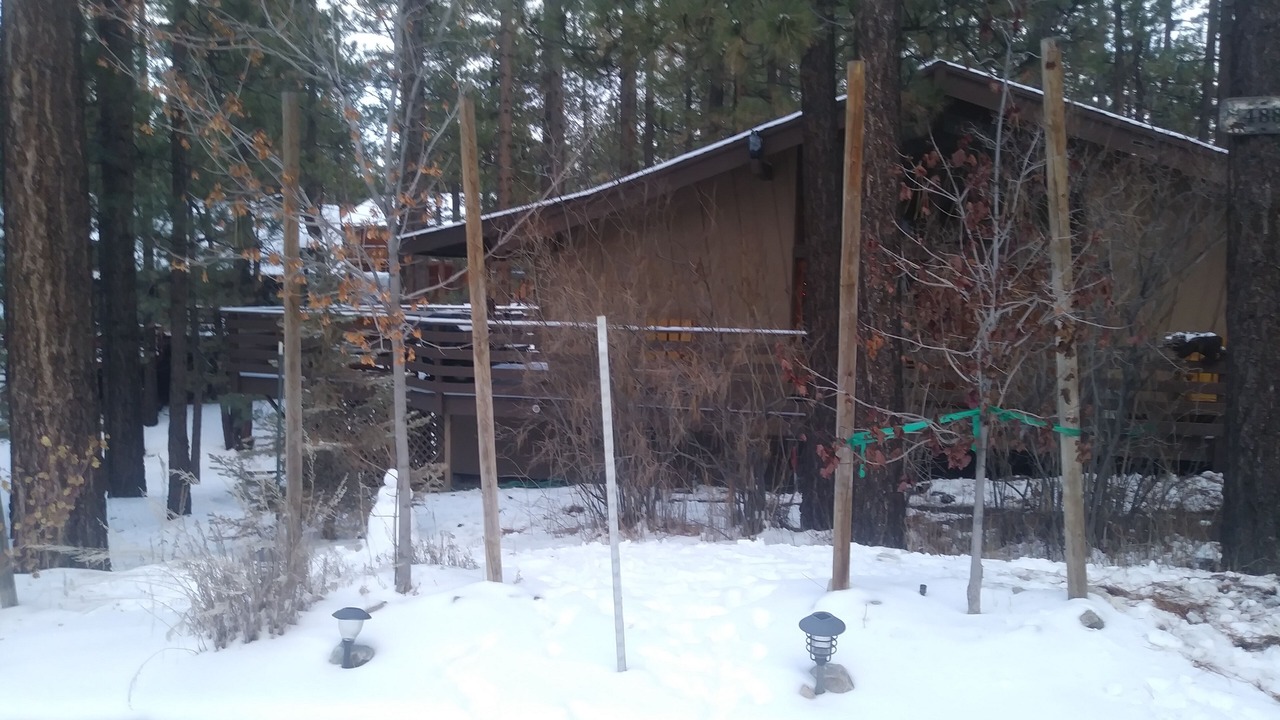 Photo of Others in Big Bear