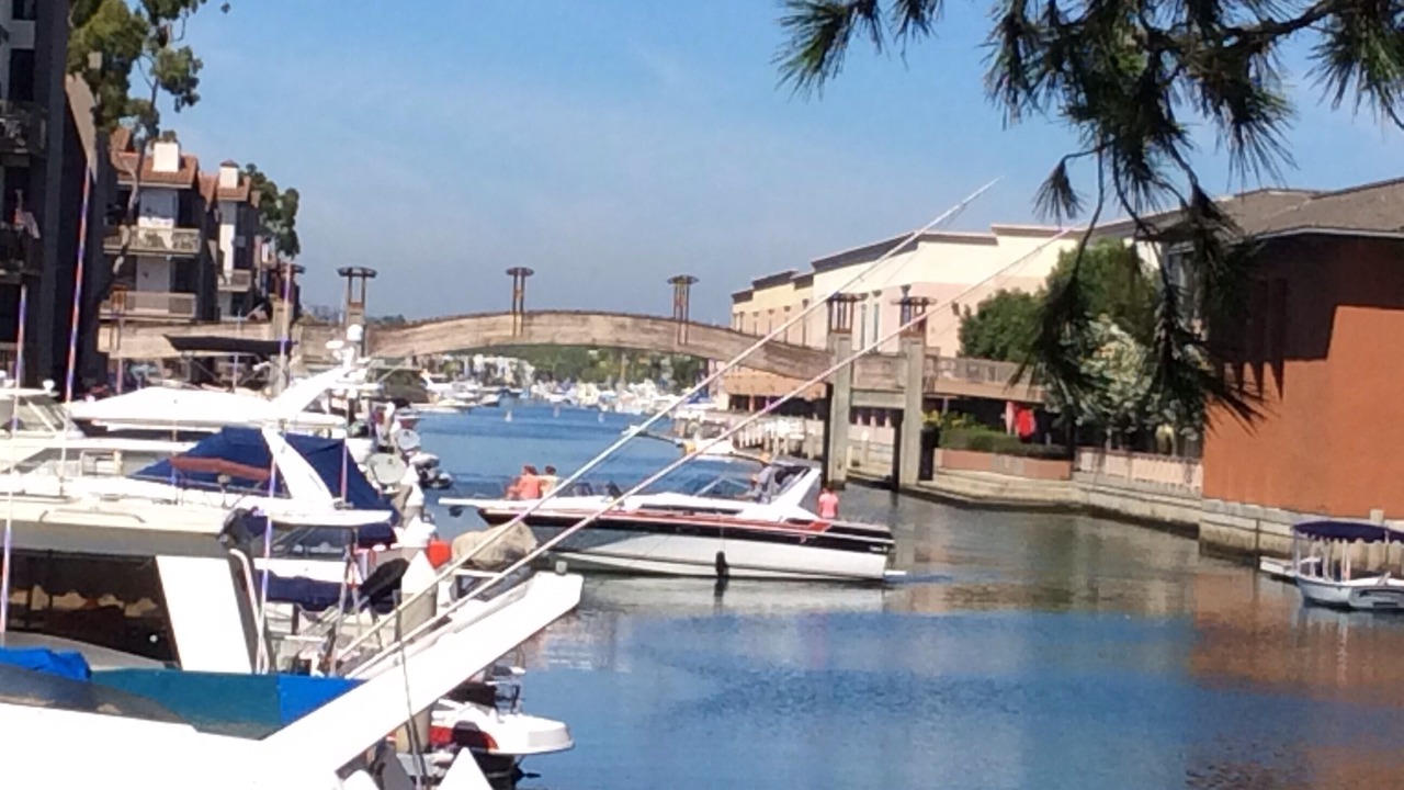 Photo of Others in Marina Pacifica