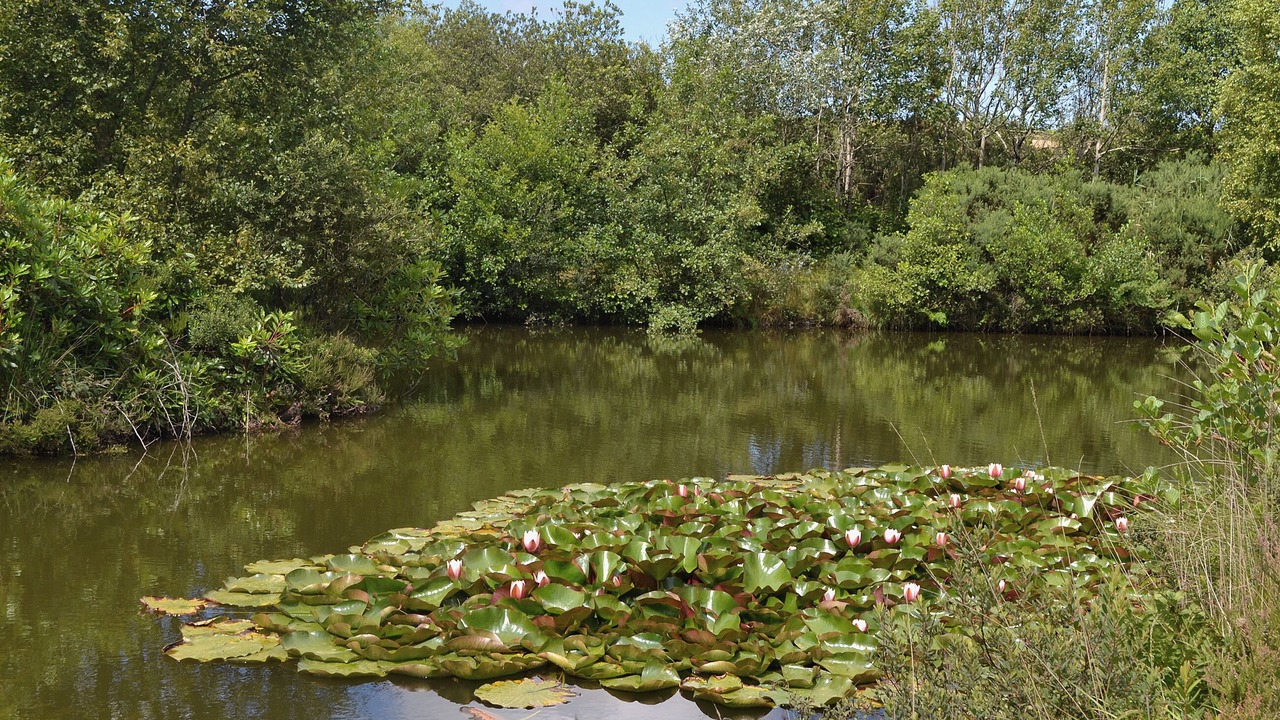 Photo of Outdoor in Winnard's Perch