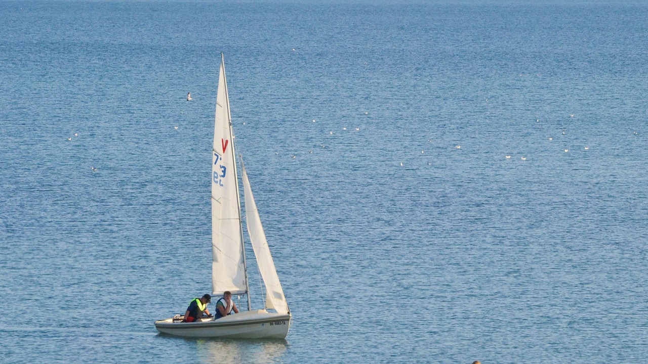 Photo of Others in Pagham