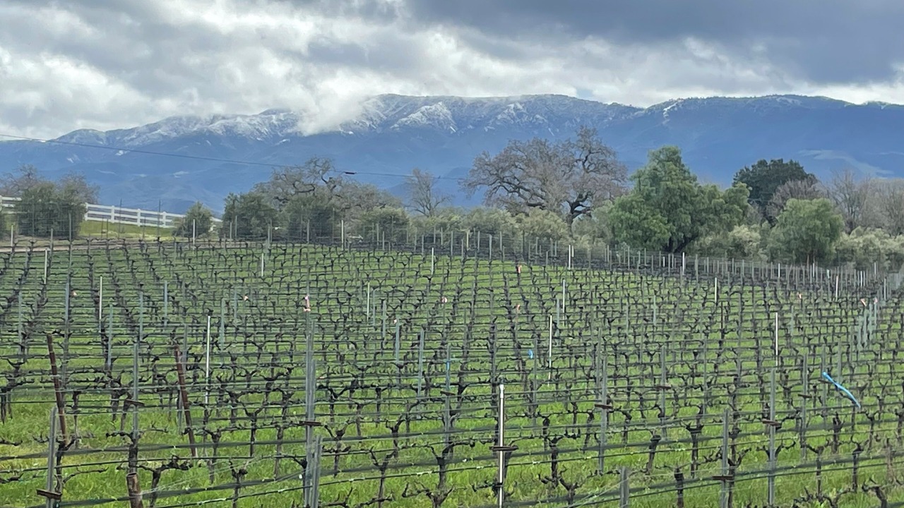Photo of Others in Santa Ynez