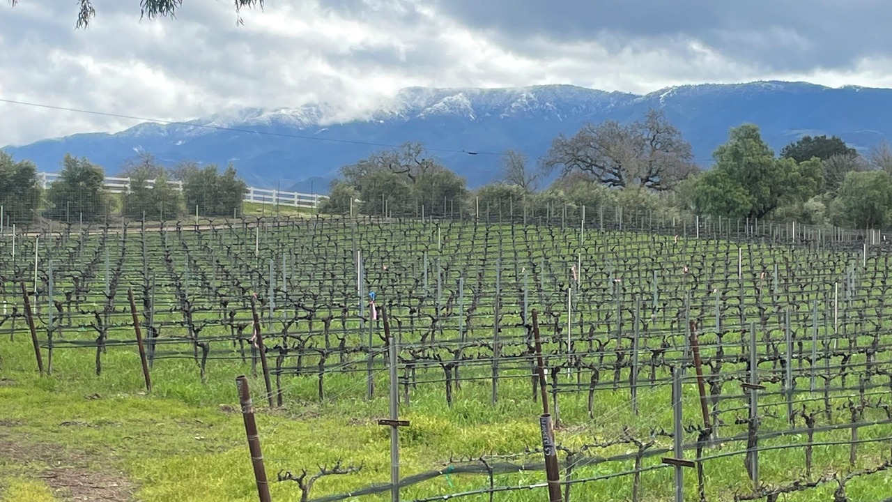 Photo of Outdoor in Santa Ynez