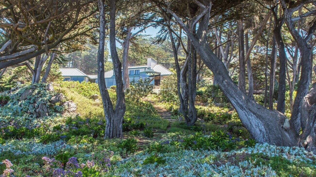 Photo of Outdoor in Carmel Highlands