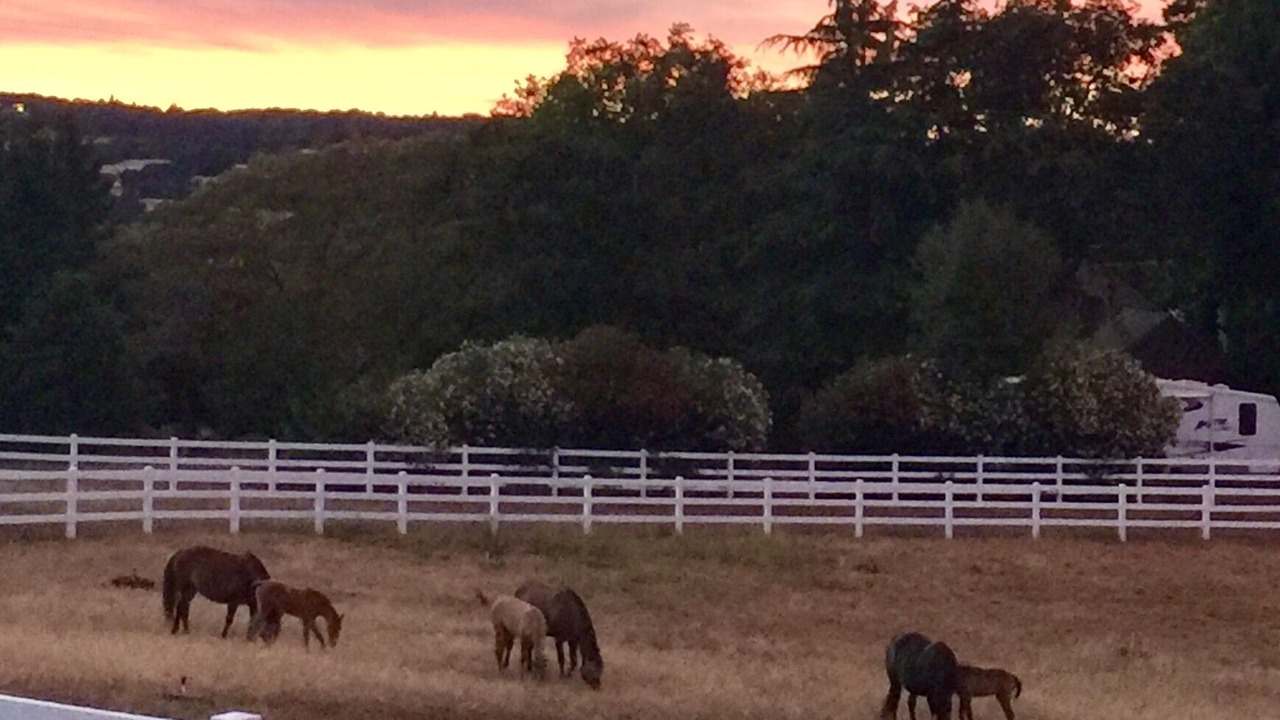 Photo of Others in Pilot Hill