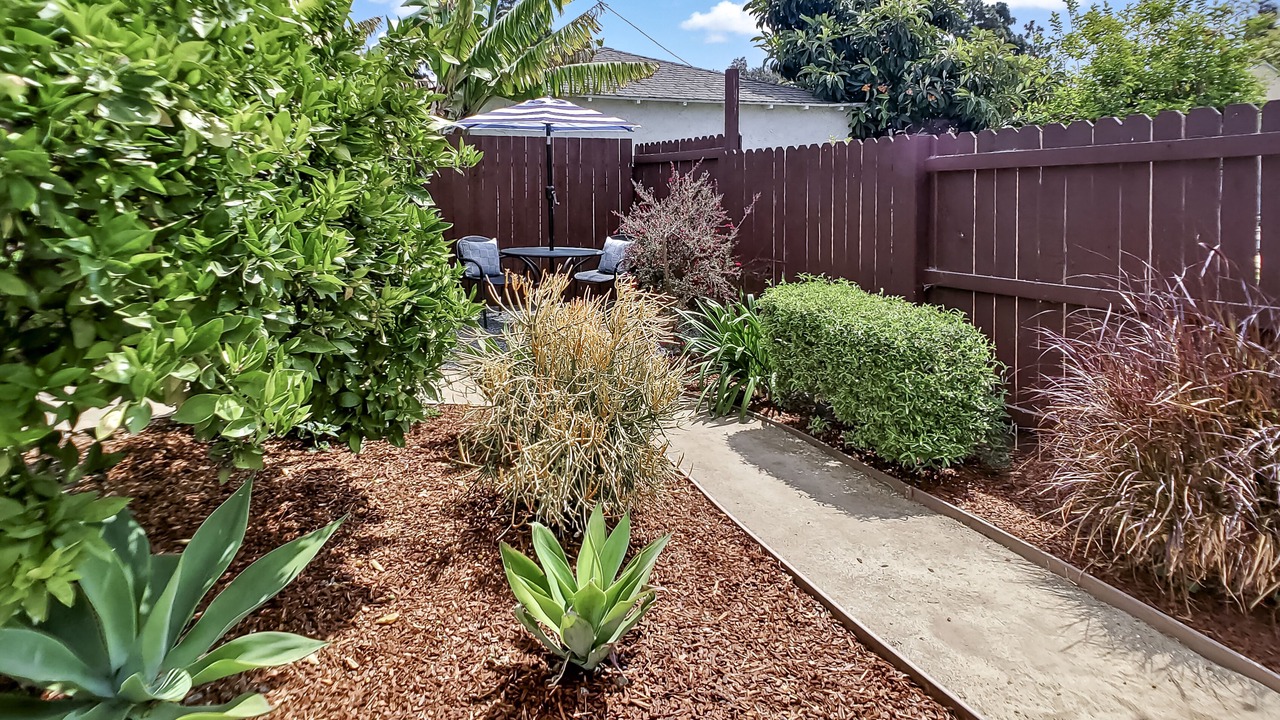 Photo of Outdoor in Palms