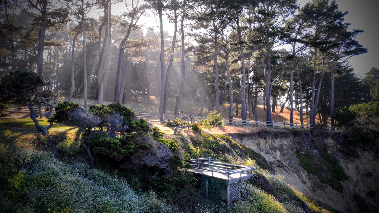 Photo of Others in Mendocino