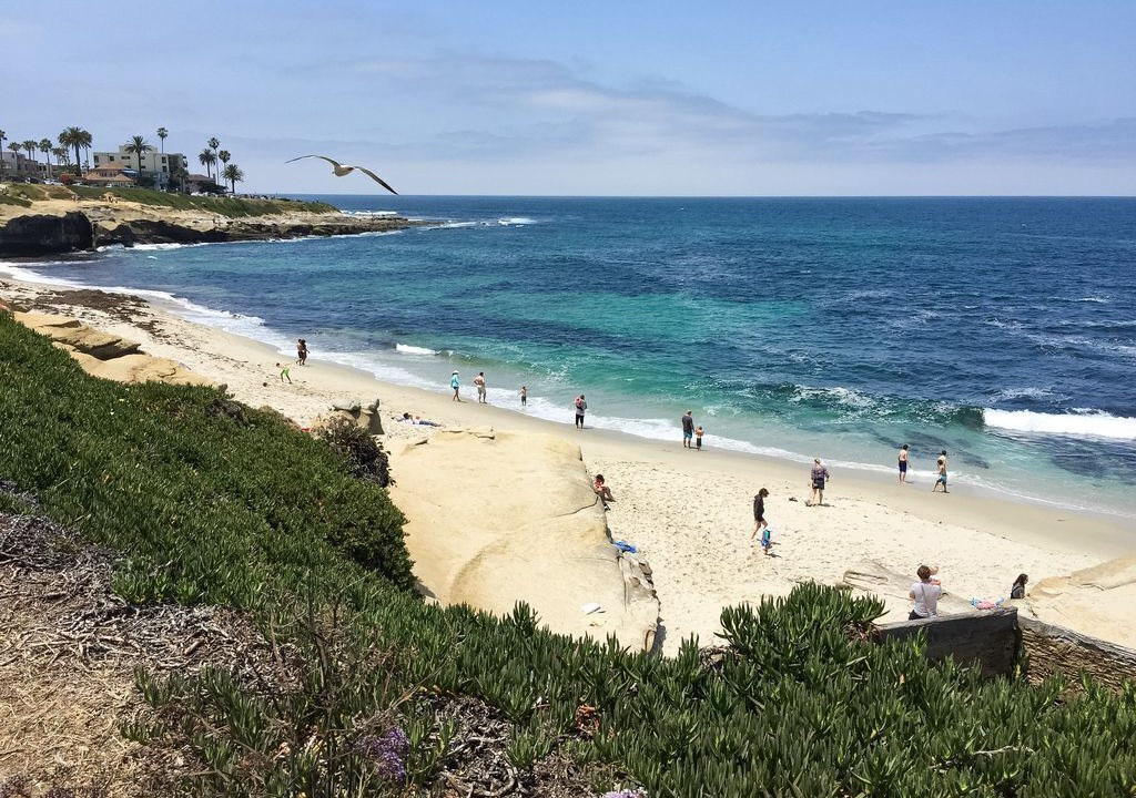 Photo of Others in Beach Barber Tract