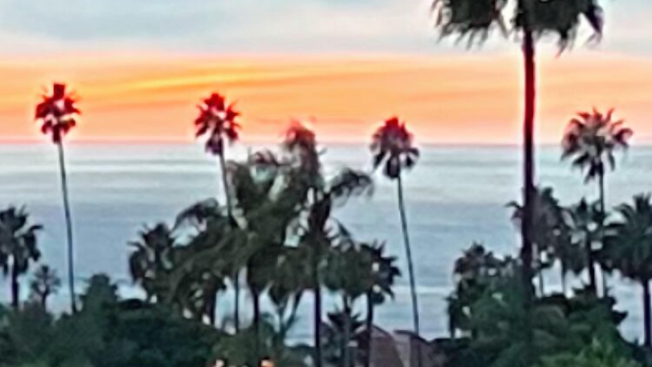 Photo of Others in Beach Barber Tract