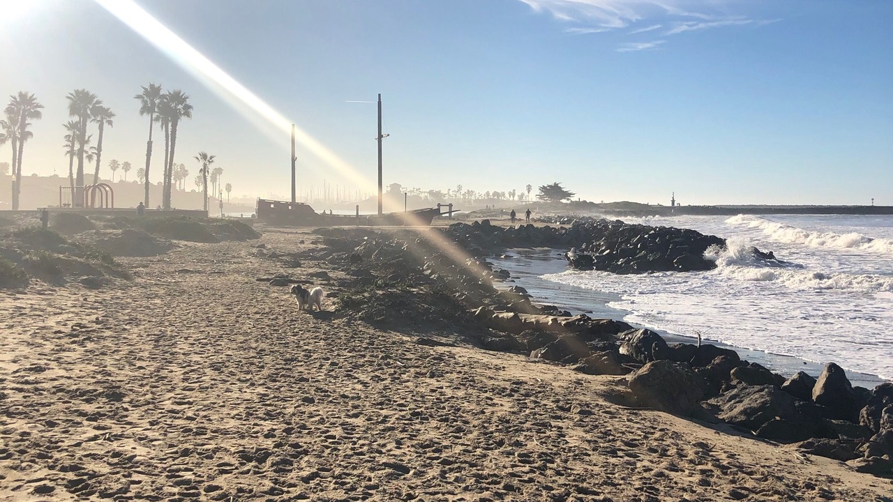 Photo of Others in Pierpont Bay