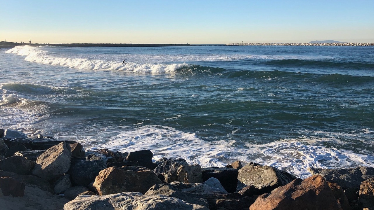 Photo of Others in Pierpont Bay