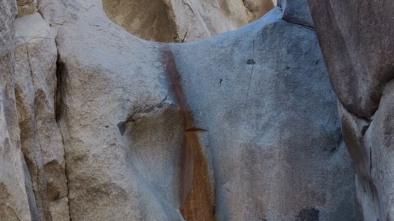 Photo of Others in Joshua Tree