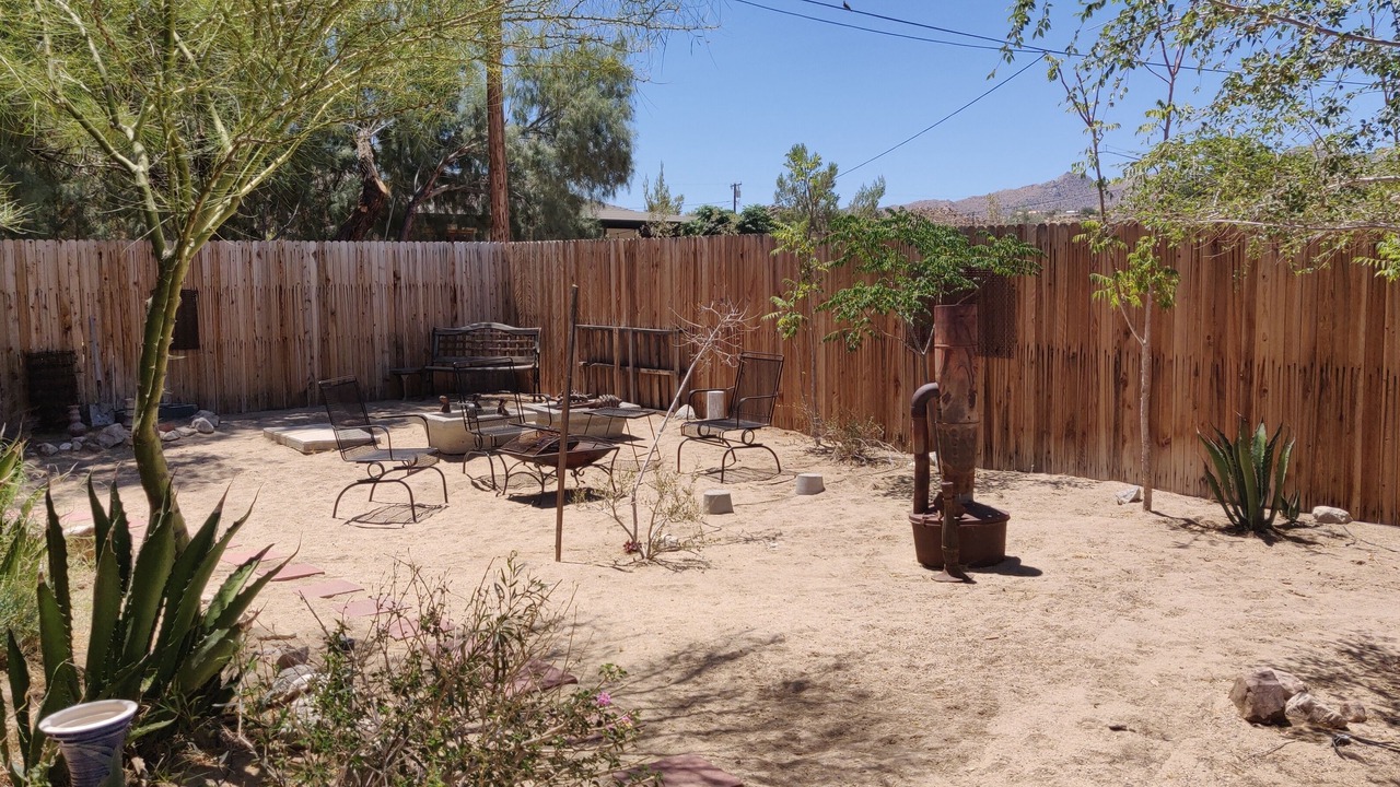 Photo of Others in Joshua Tree