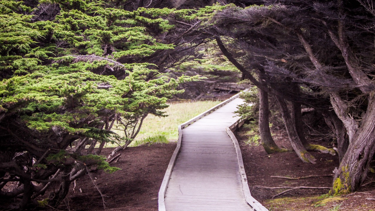 Photo of Outdoor in Fort Bragg
