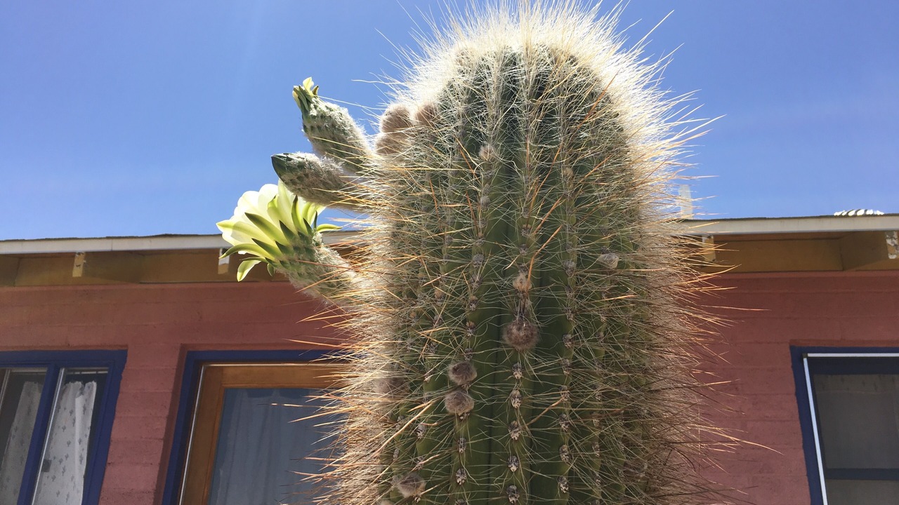 Photo of Outdoor in Panorama Heights