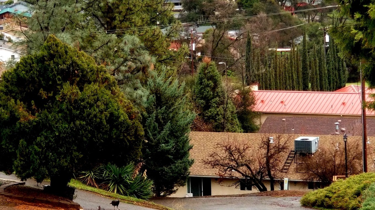 Photo of Others in Mariposa