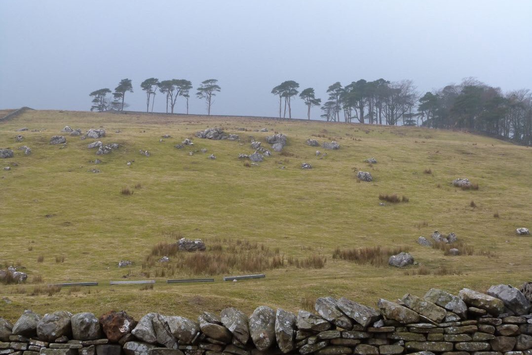 Photo of Others in Ingleton