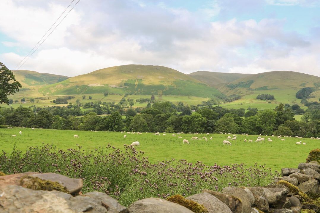 Photo of Others in Sedbergh