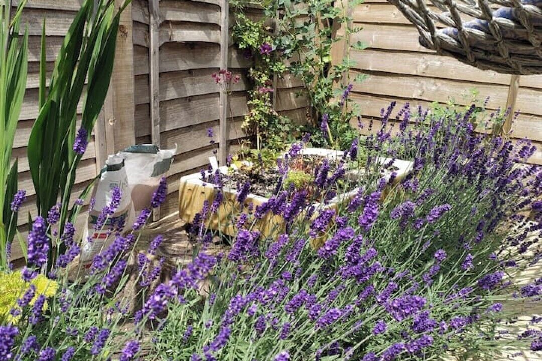 Photo of Outdoor in Leamington Spa