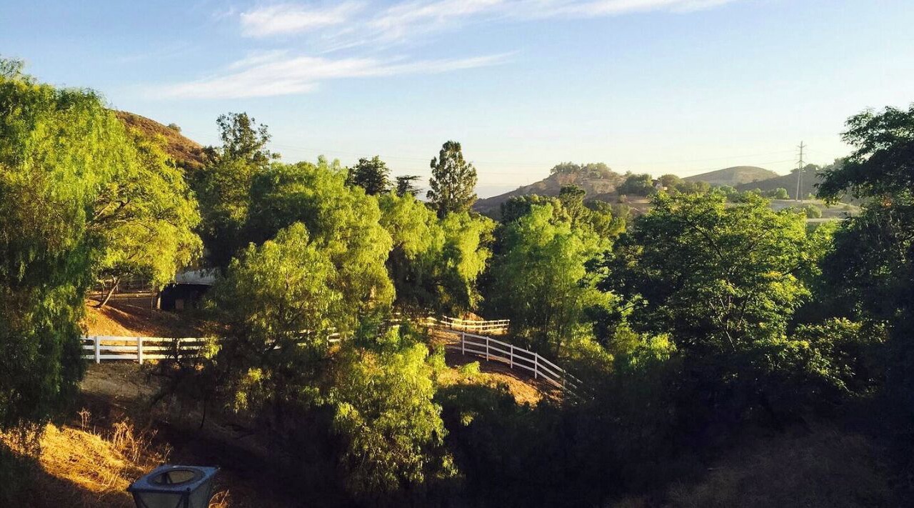 Photo of Others in Shadow Hills