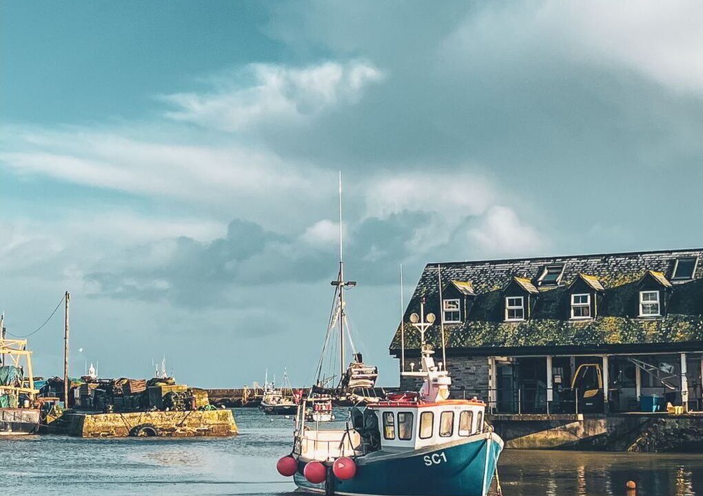 Photo of Others in Mevagissey