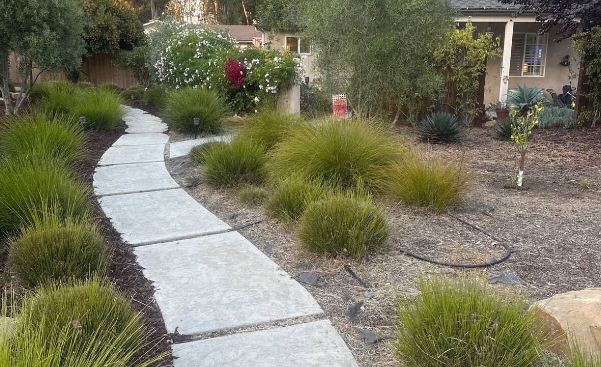 Photo of Outdoor in Nipomo