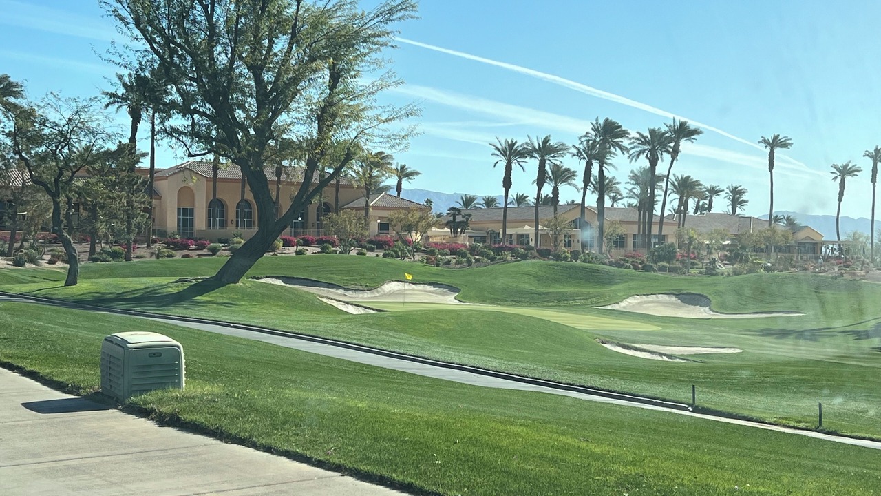 Photo of Others in Desert Palms