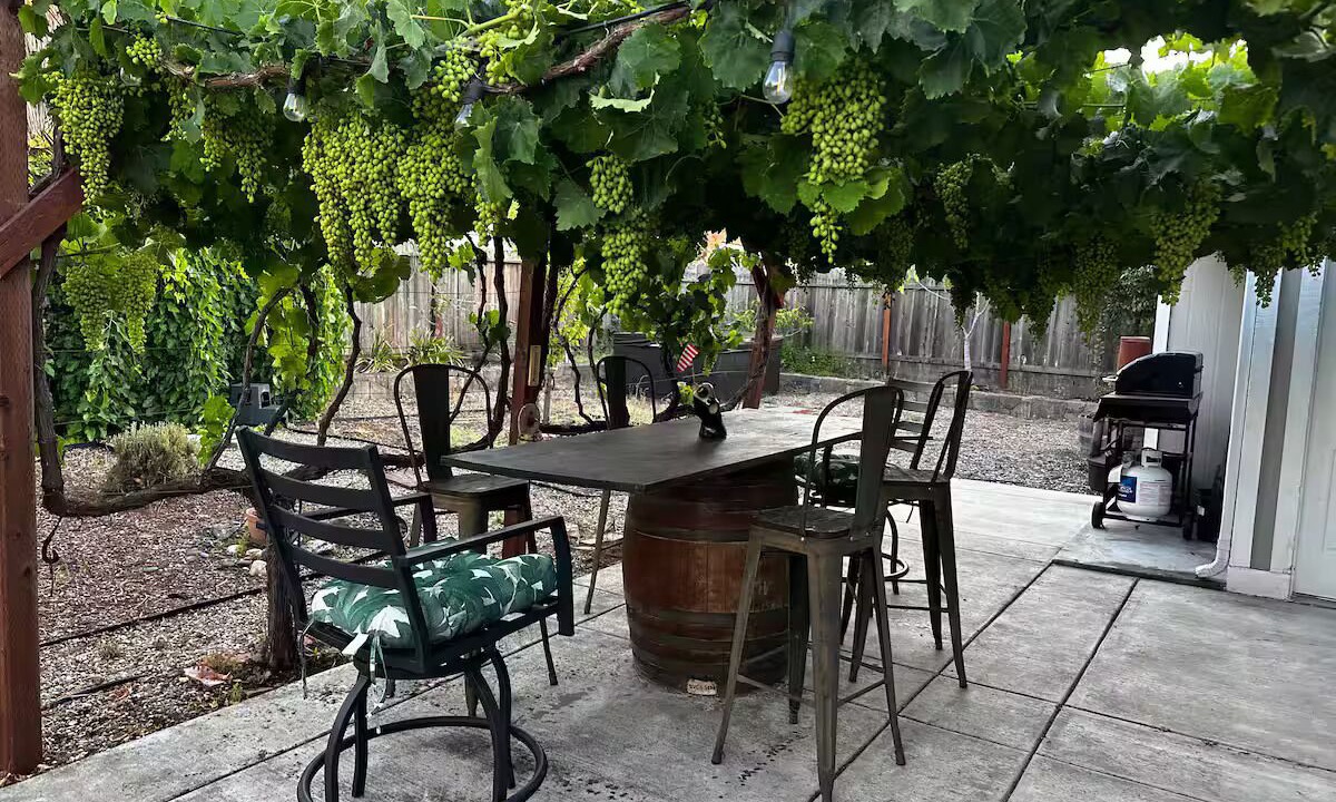 Photo of Outdoor in Napa