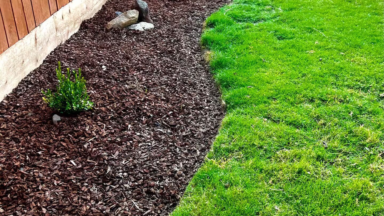 Photo of Outdoor in Visalia
