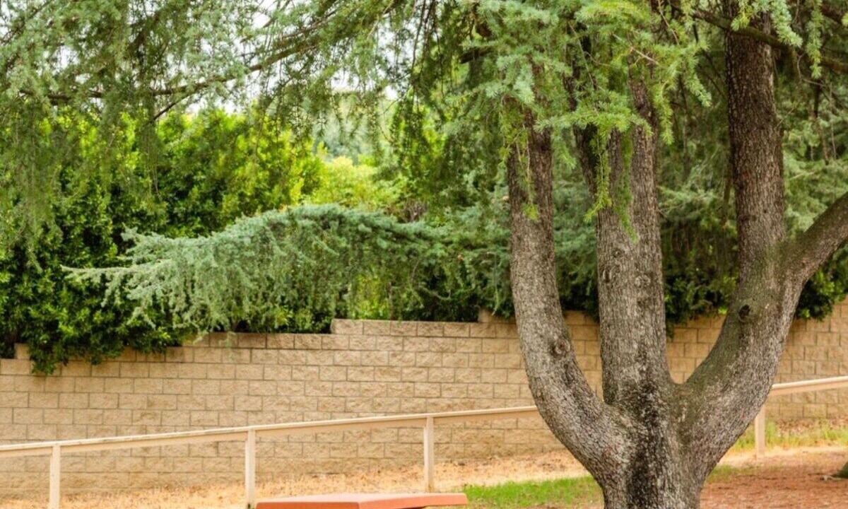 Photo of Outdoor in Woodland Hills
