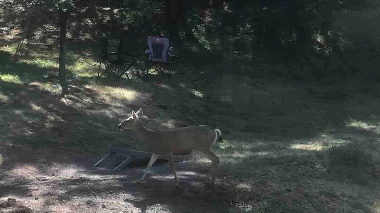 Photo of Others in Camp Nelson