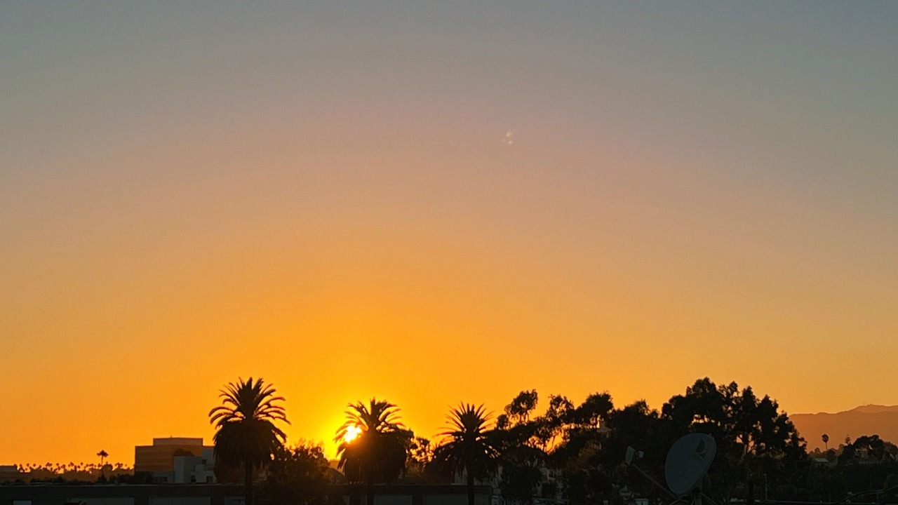 Photo of Others in Sawtelle