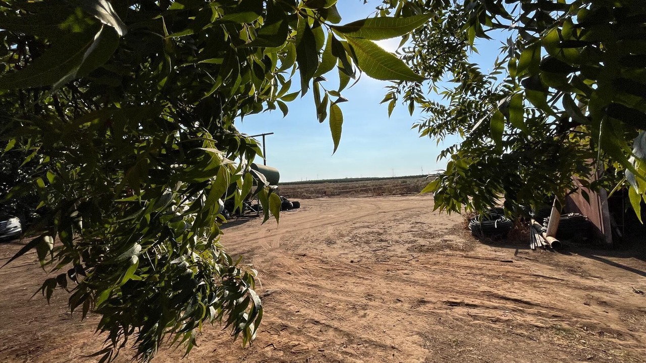 Photo of Outdoor in Reedley