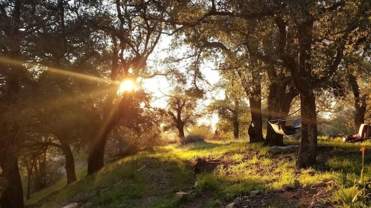 Photo of Others in Pauma Valley