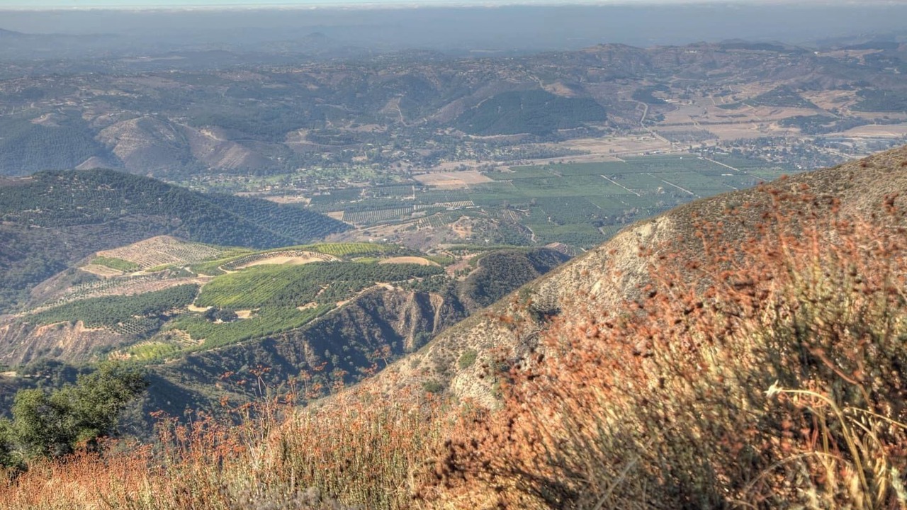 Photo of Others in Pauma Valley