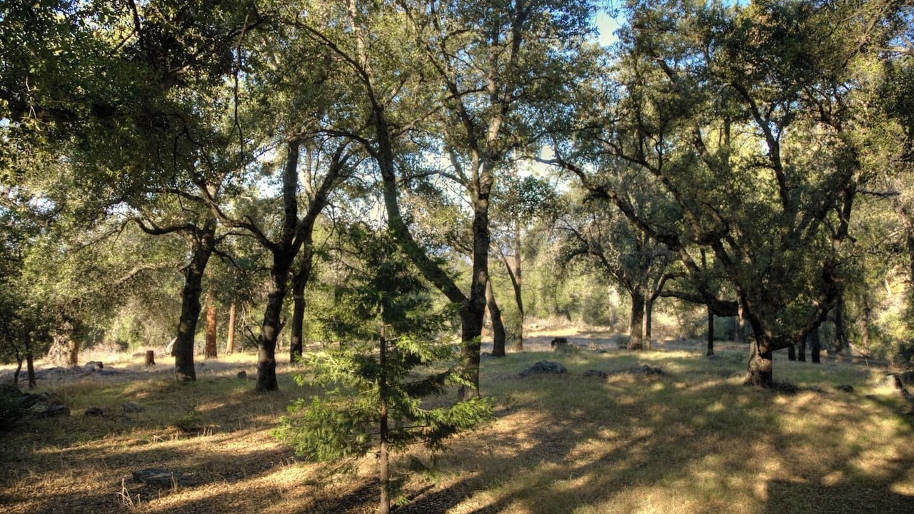 Photo of Others in Pauma Valley