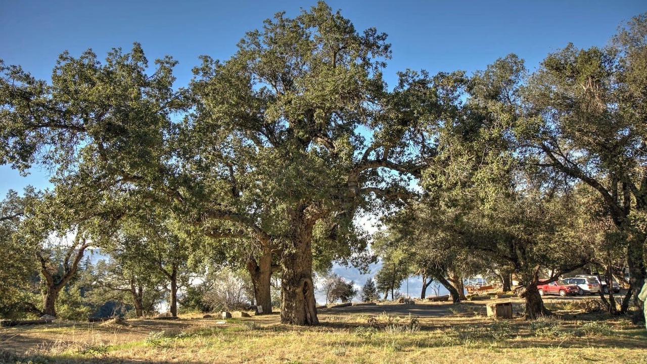 Photo of Others in Pauma Valley