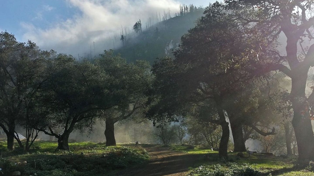 Photo of Others in Pauma Valley