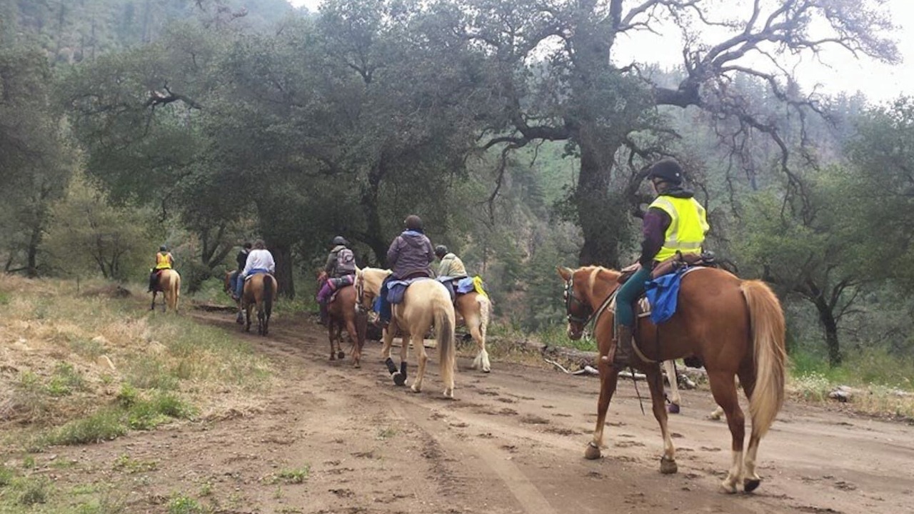 Photo of Others in Pauma Valley