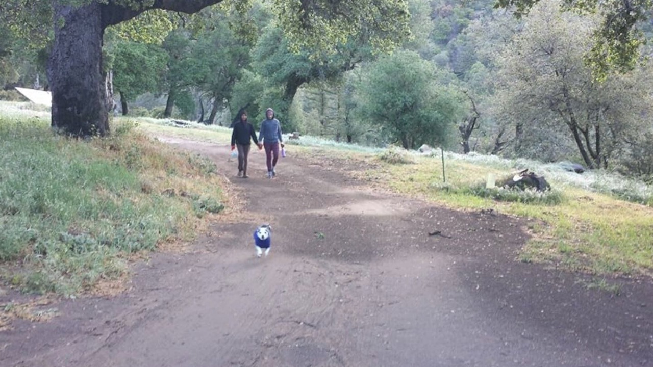 Photo of Others in Pauma Valley