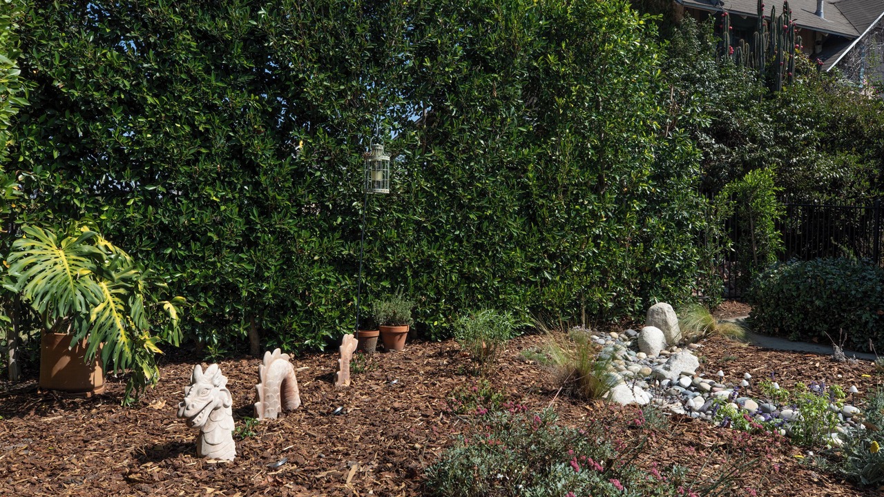 Photo of Outdoor in Park Mesa Heights