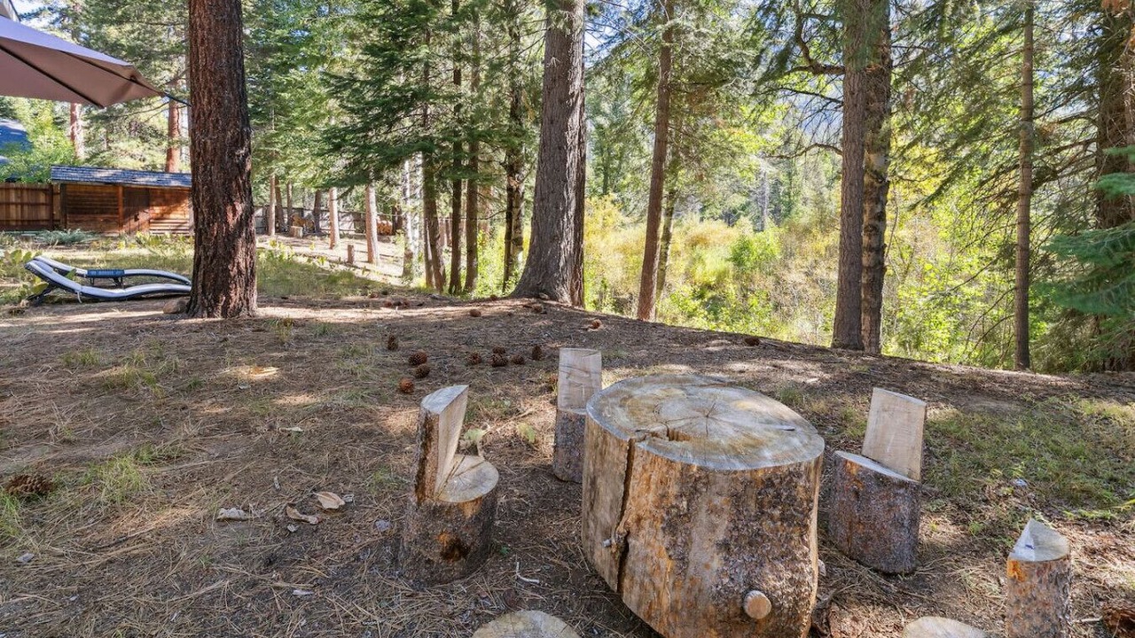 Photo of Others in Christmas Valley