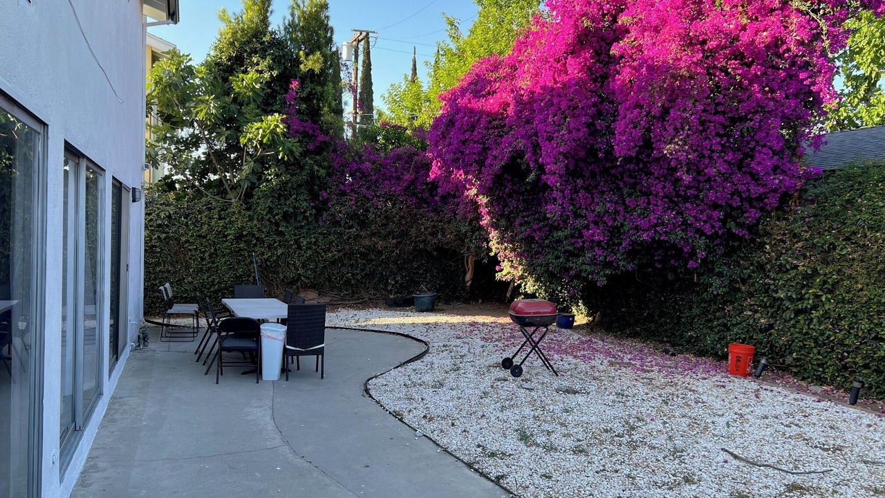 Photo of Outdoor in Valley Glen