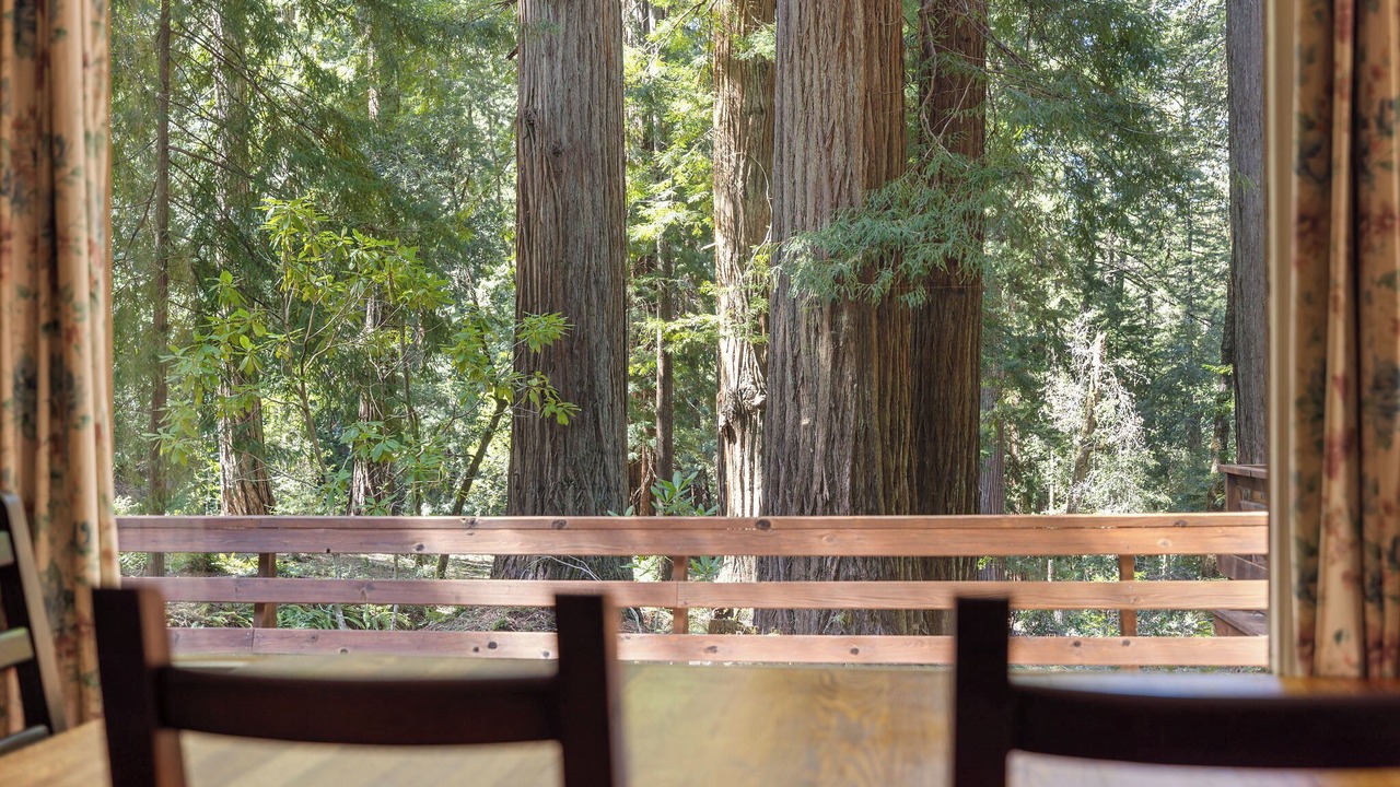 Photo of Outdoor in Redwood Valley